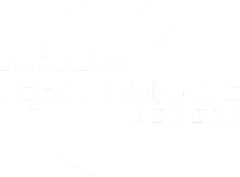 logo nonfinbiz